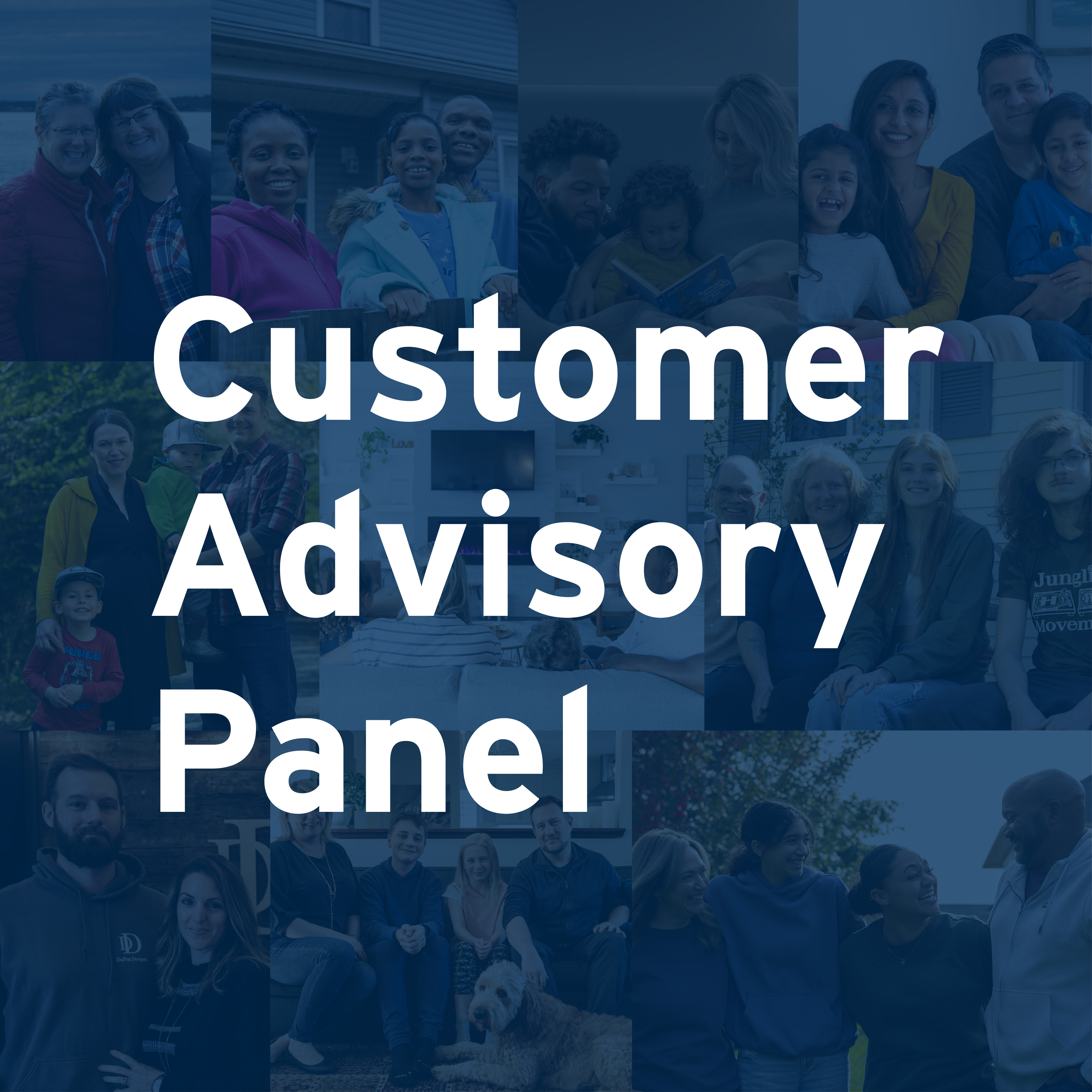 Graphic with 'Customer Advisory Panel' writing