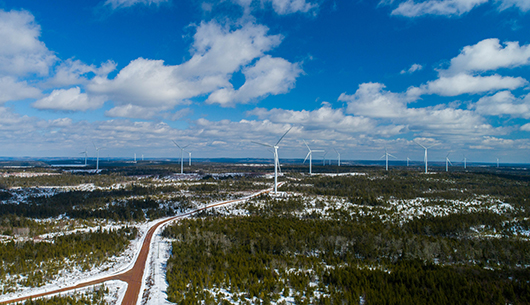 wind-turbines-field-sky2