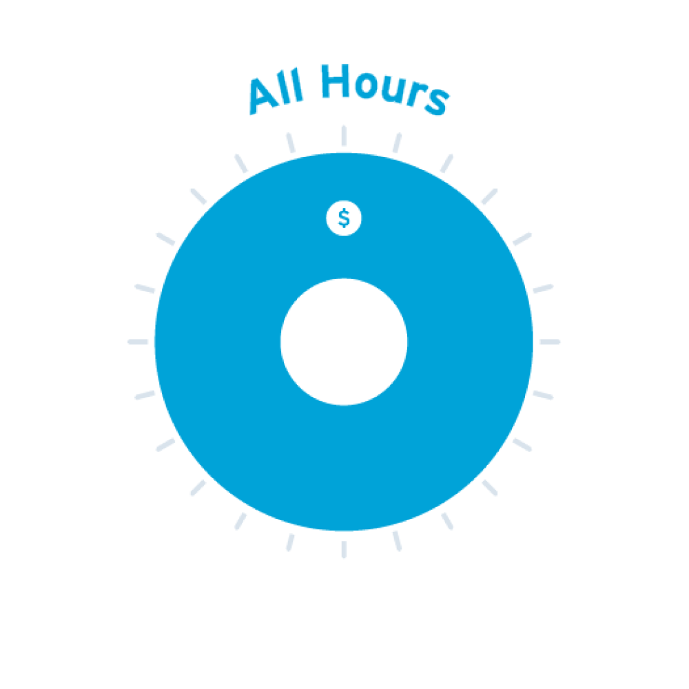 A pie chart showing the rate for all hours during the day